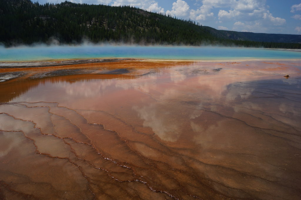 Grand Prismatic Spring. Yellowstone N.P.