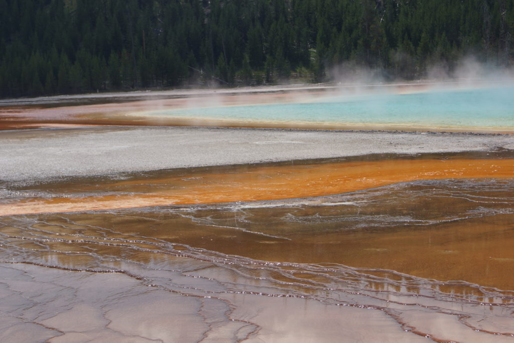 Grand Prismatic Spring. Microbial mat.