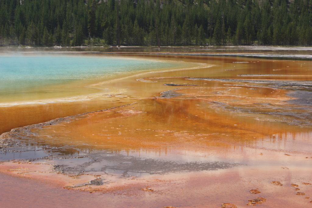 Grand Prismatic Spring. Named in 1871 for its striking coloration.