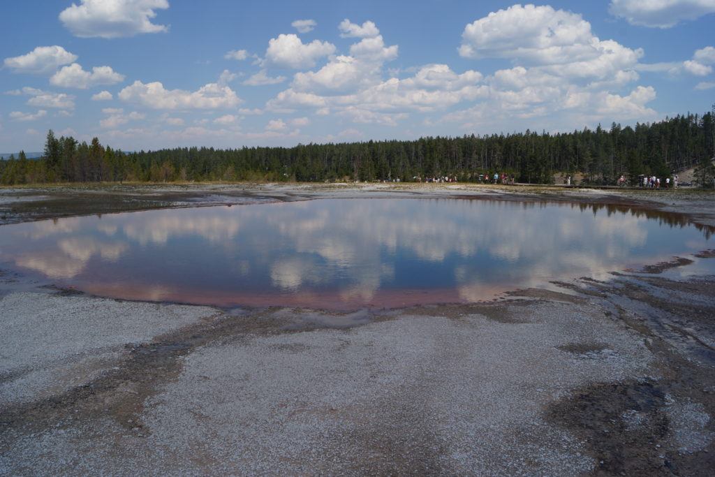 Turquoise Pool