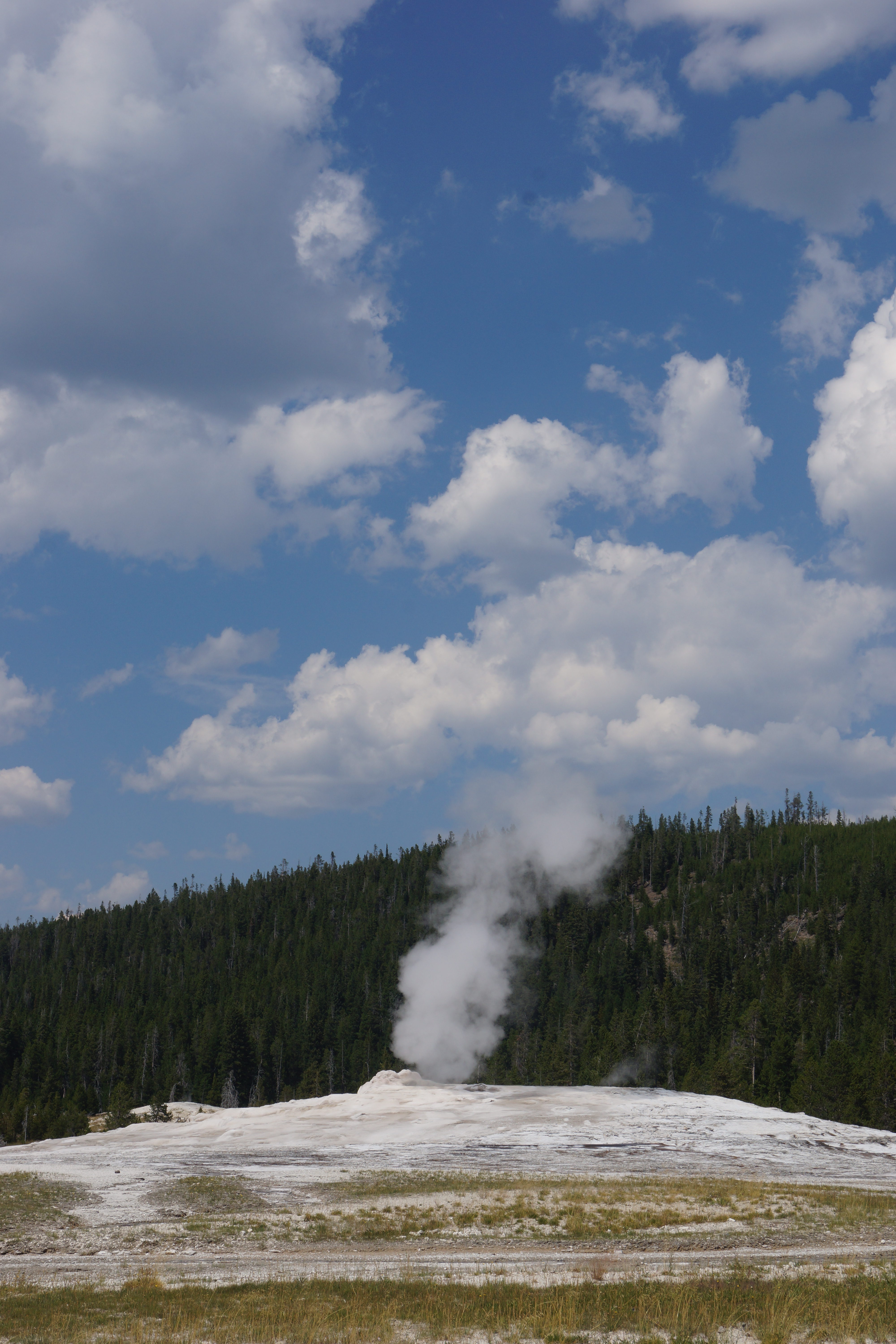 Old Faithful. Yellowstone N.P.