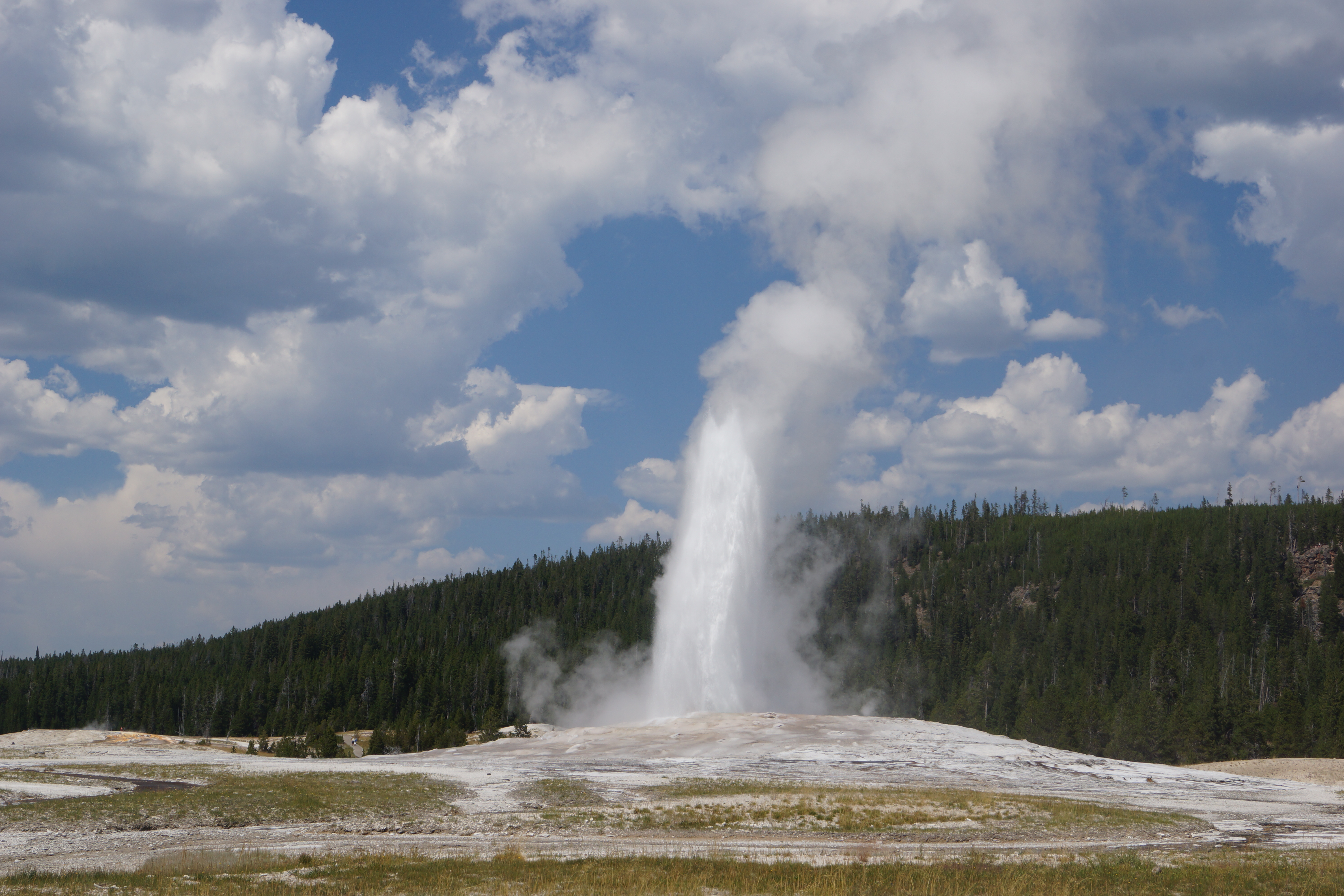 Old Faithful. Yellowstone N.P.