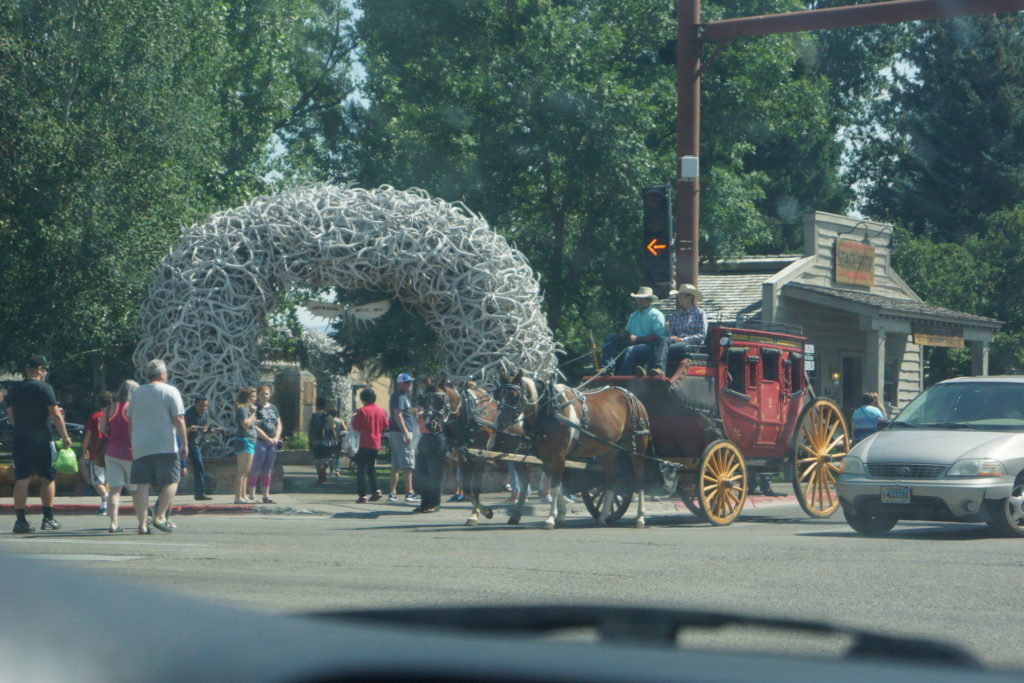 Jackson streets. City park with entrance made of deer´s horns