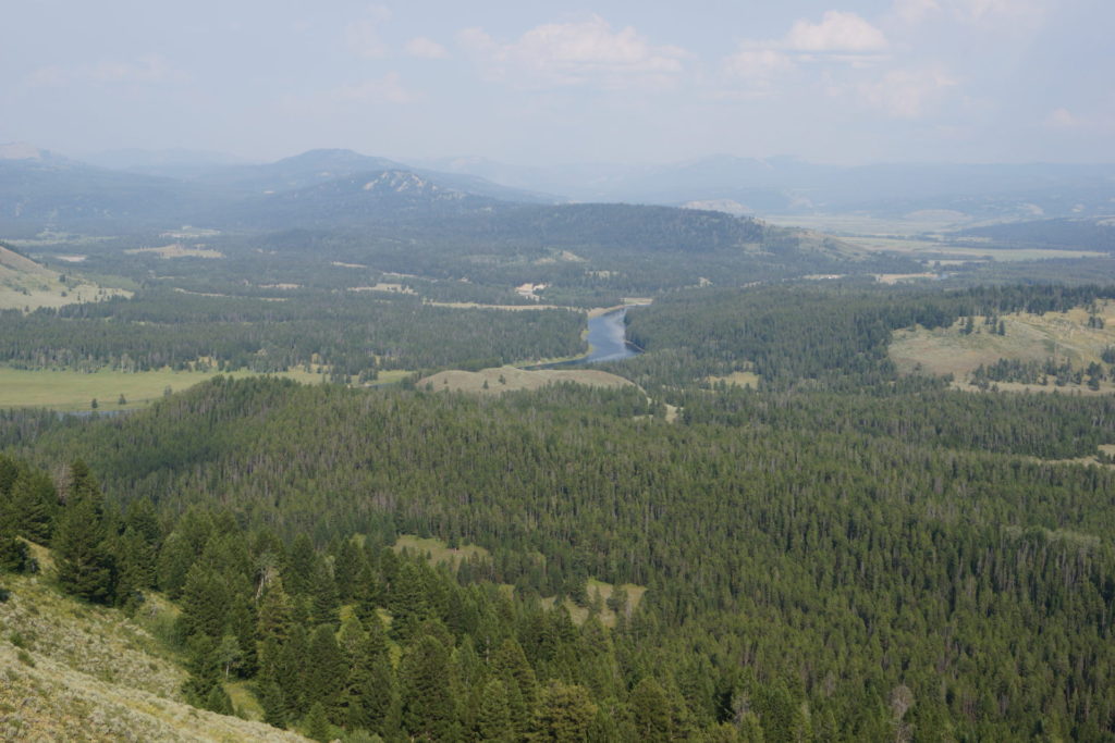 Snake River. On the 191 Rd. Grand Teton N.P.