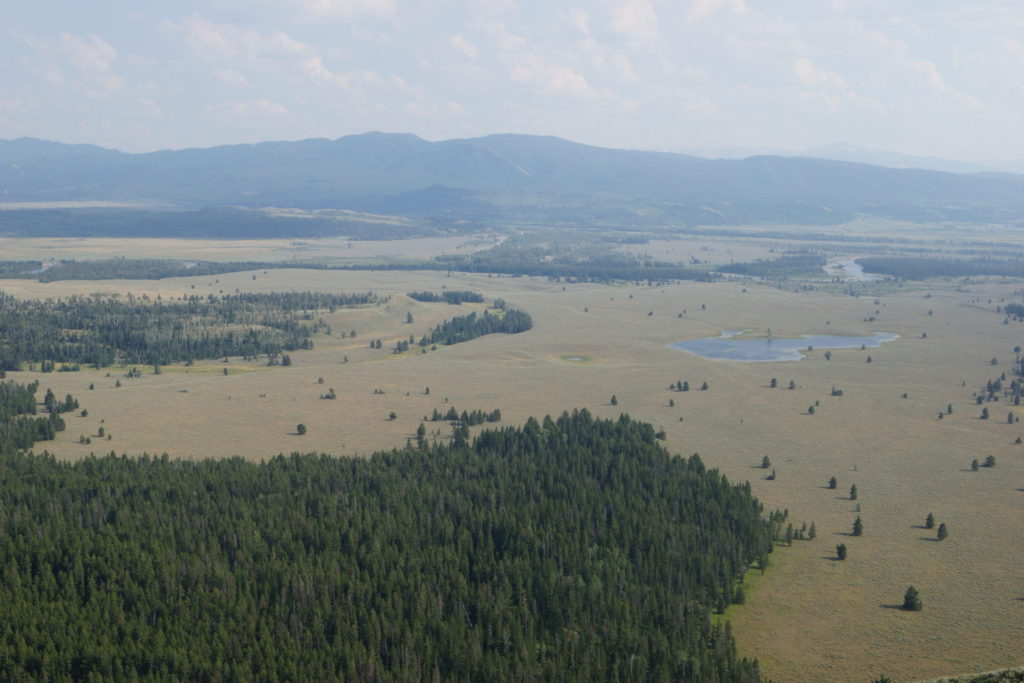 From Signal Mountain. On the 191 Rd. Grand Teton N.P.